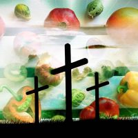 Veganismo religion y filosofia