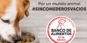 BANCO_DE_ALIMENTOS_FUNCACION_KIWOKO