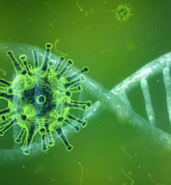 Coronavirus Solidaridad y responsabilidad