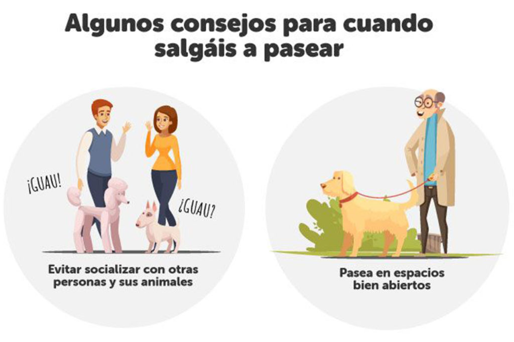 El bienestar de los animales01