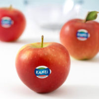 Manzanas Kanzi