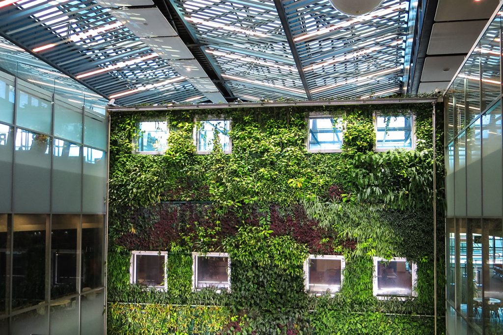 ¿Cómo elegir un jardín vertical?