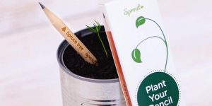 Lápices plantables - Consumir Vegano