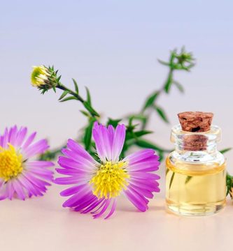 Perfumes y fragancias veganas - Consumir Vegano