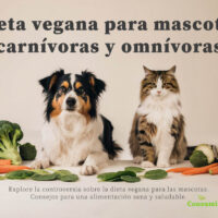 Mascotas veganas - perros y gatos