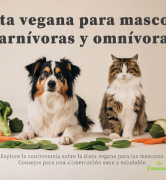 Mascotas veganas - perros y gatos