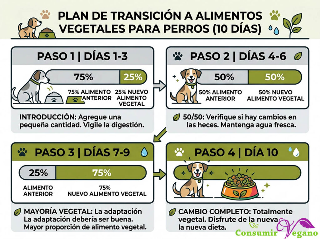 Diagrama de transición gradual en 4 fases a lo largo de 10 días para cambiar al pienso vegetal sin diarreas